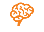 brain