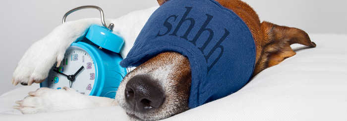 Una buona notte di sonno con lo scompenso cardiaco