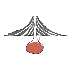 colesterolo LDL formazione placca aterosclerosi