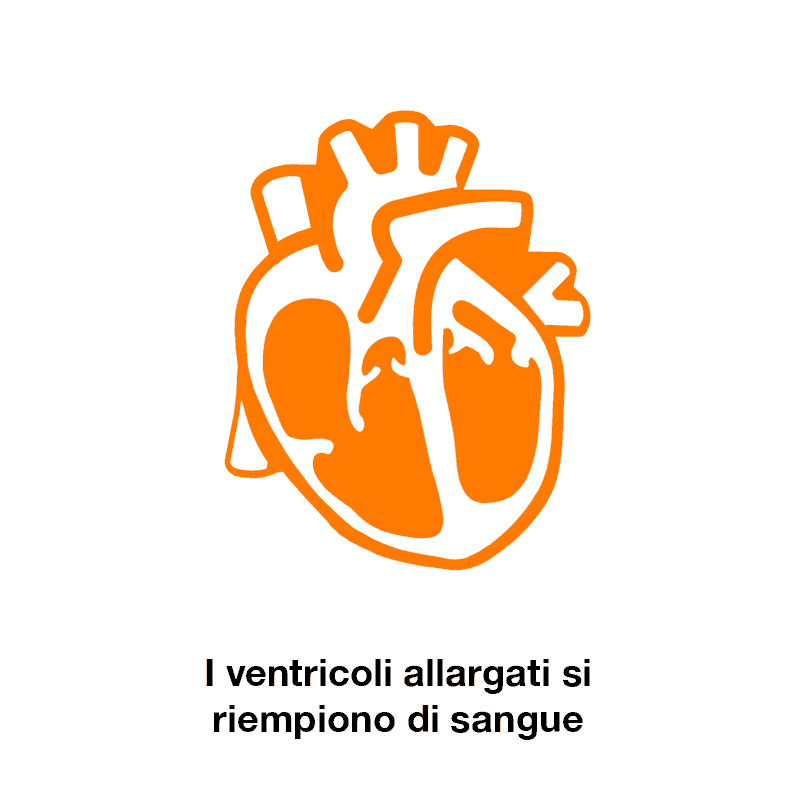 frazione di eiezione normale